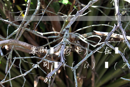 案例：個(gè)人在擔(dān)保合同的公司負(fù)責(zé)人處簽字捺印，是否具有個(gè)人擔(dān)保的意思表示？